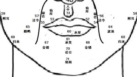 鼻頭有肉男人|麦玲玲面相讲座之 鼻子 – 人相学